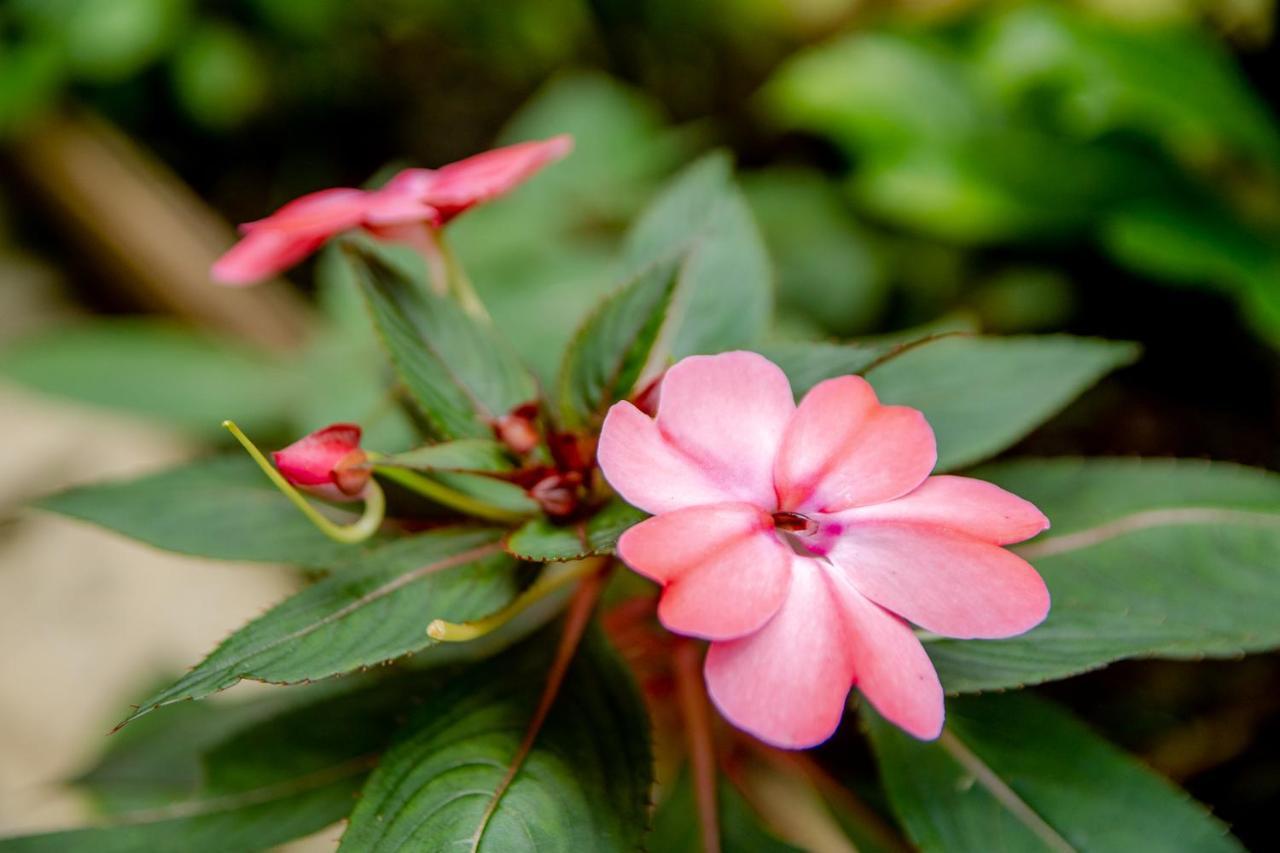 גואראמירנגה Hotel Cantinho Das Flores מראה חיצוני תמונה